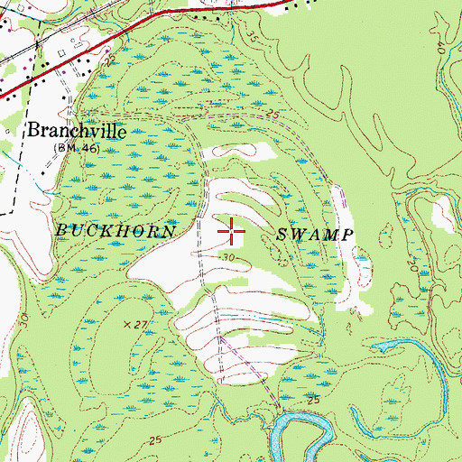 Topographic Map of Buckhorn Swamp, VA