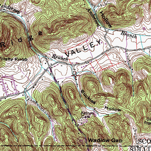 Topographic Map of Buckles Hollow, VA