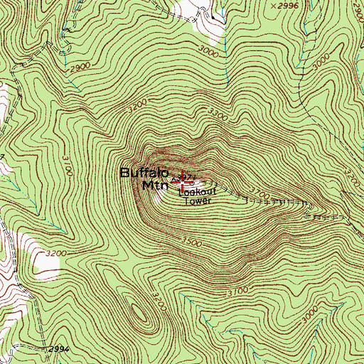 Topographic Map of Buffalo Mountain, VA