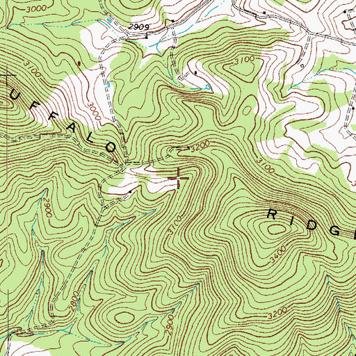 Topographic Map of Buffalo Ridge, VA