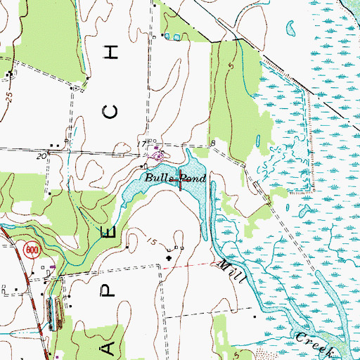 Topographic Map of Bulls Pond, VA