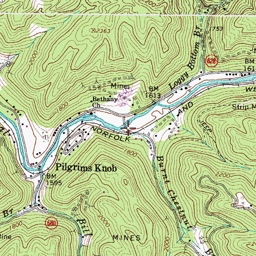 Topographic Map of Burnt Chestnut Branch, VA