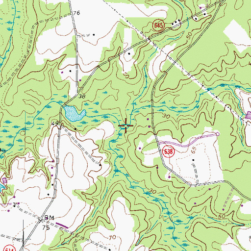 Topographic Map of Burnt Mills Swamp, VA