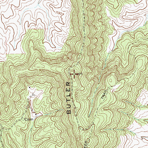 Topographic Map of Butler Mountain, VA