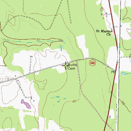 Topographic Map of Butts Cemetery, VA