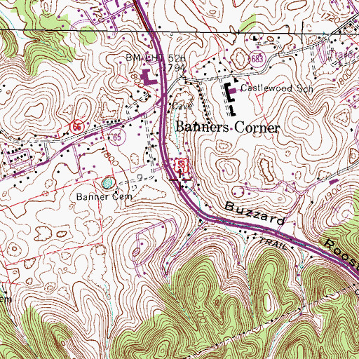 Topographic Map of Buzzard Roost Hollow, VA
