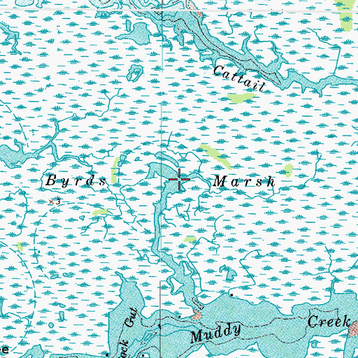 Topographic Map of Byrds Marsh, VA