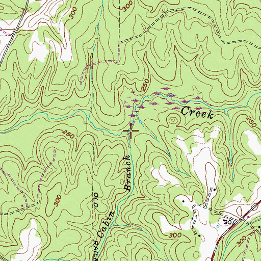Topographic Map of Cabin Branch, VA