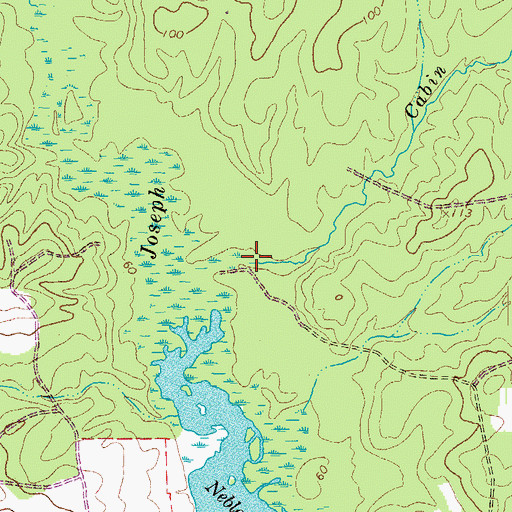 Topographic Map of Cabin Branch, VA