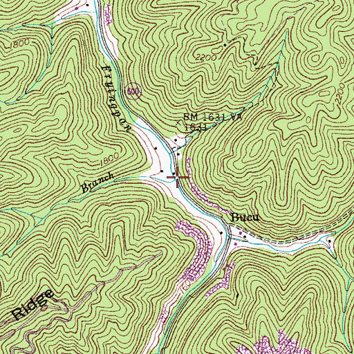 Topographic Map of Cabin Branch, VA