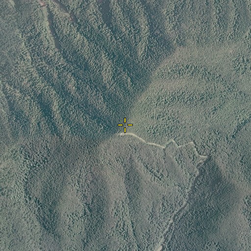 Aerial/Satellite Image of Cahas Mountain, VA