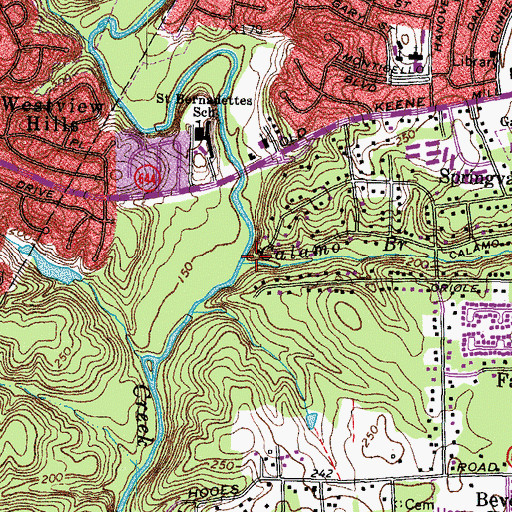 Topographic Map of Calamo Branch, VA