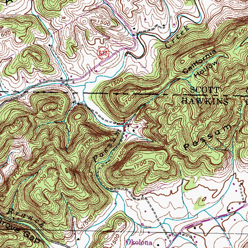 Topographic Map of California Hollow, TN
