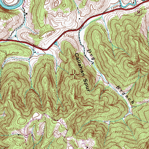 Topographic Map of Callahan Spur, VA