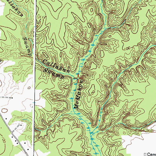 Topographic Map of Callahan Swamp, VA