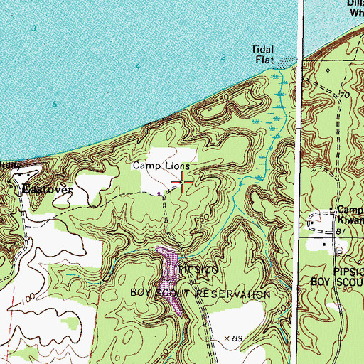 Topographic Map of Camp Lions, VA