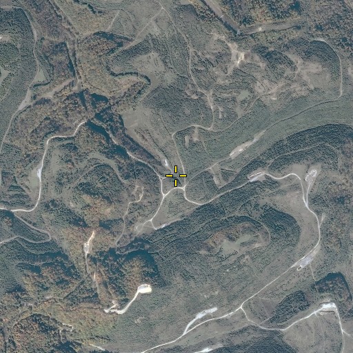 Aerial/Satellite Image of Cane Gap, VA