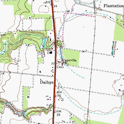 Topographic Map of Capeville Church, VA