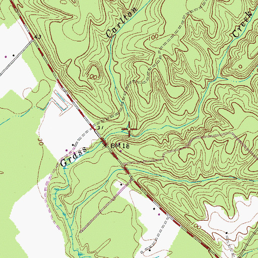 Topographic Map of Carlton Hill Swamp, VA
