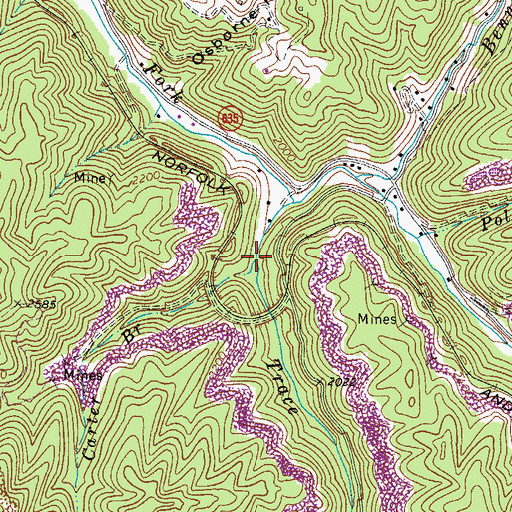 Topographic Map of Carter Branch, VA