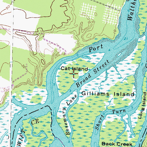Topographic Map of Cat Island, VA