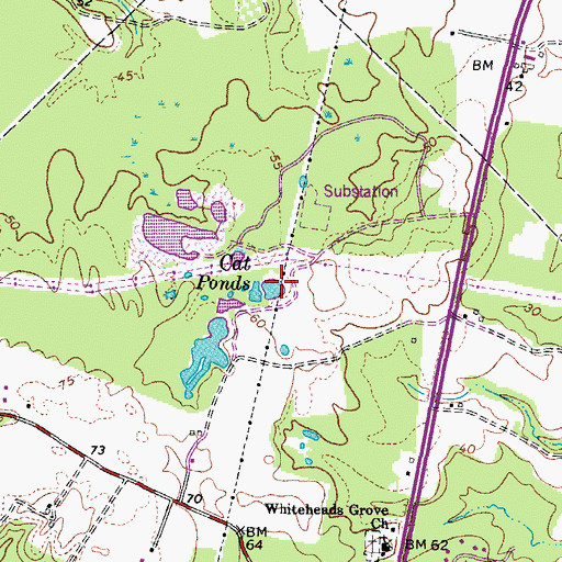 Topographic Map of Cat Ponds, VA