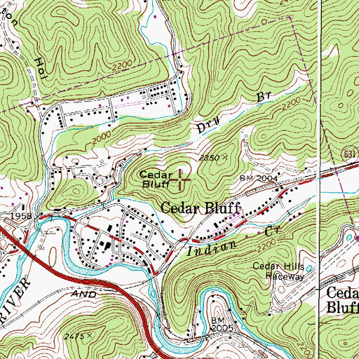 Topographic Map of Cedar Bluff, VA