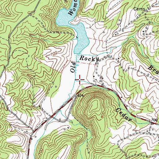 Topographic Map of Cedar Branch, VA