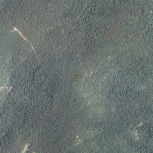Aerial/Satellite Image of Cedar Mountain, VA
