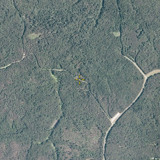 Aerial/Satellite Image of Cedar Trail, VA