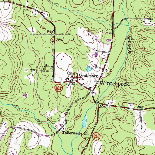 Topographic Map of Centenary Church, VA