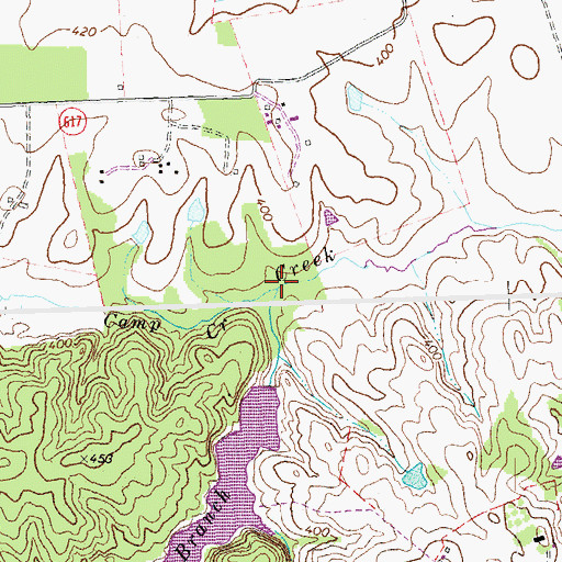 Topographic Map of Central Branch, VA
