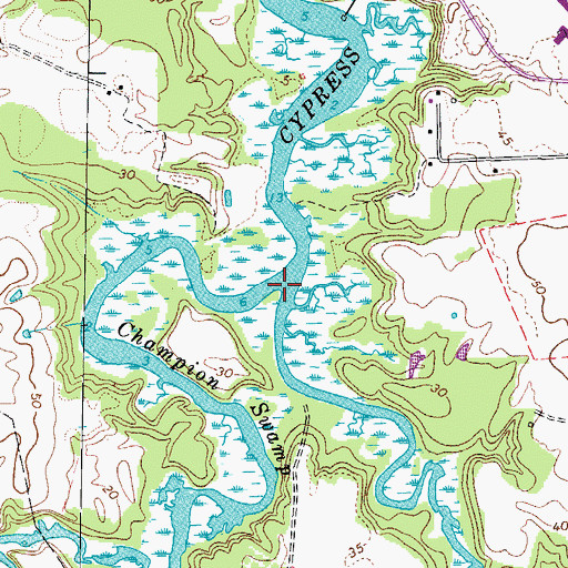 Topographic Map of Champion Swamp, VA