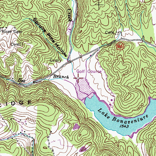 Topographic Map of Chaney Creek, VA