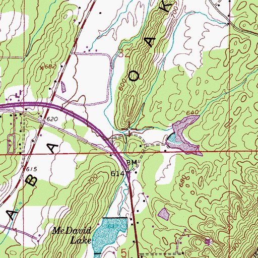 Topographic Map of Jeb Branch, AL
