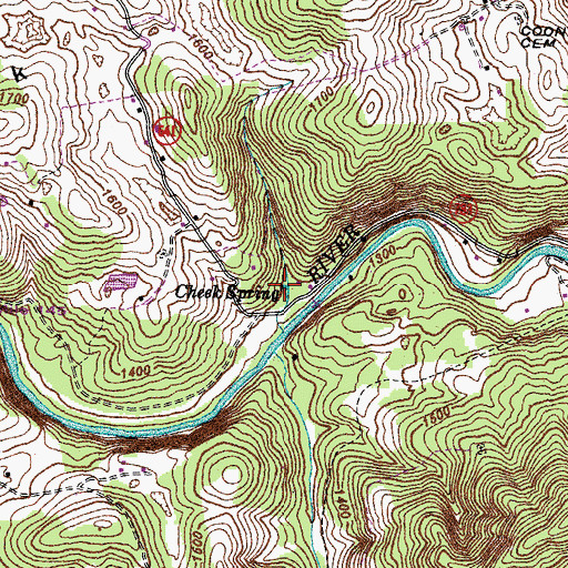 Topographic Map of Cheek Spring, VA