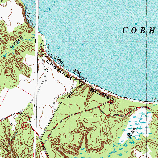 Topographic Map of Chestnut Bluffs, VA