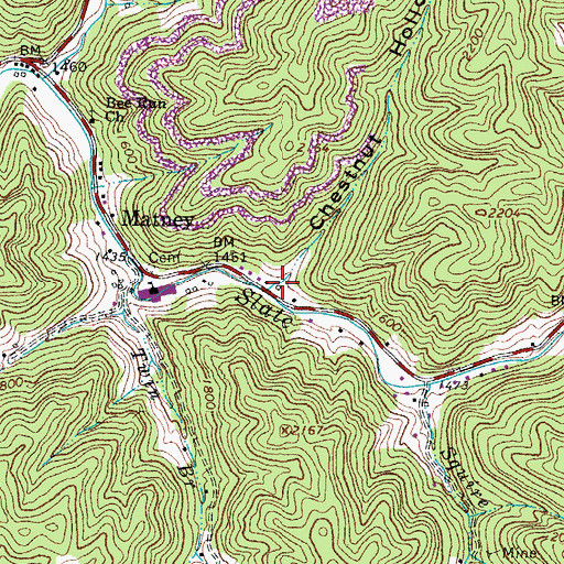 Topographic Map of Chestnut Hollow, VA