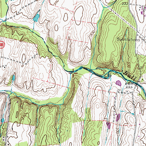 Topographic Map of Chestnut Lick, VA