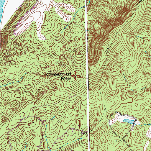 Topographic Map of Chestnut Mountain, VA