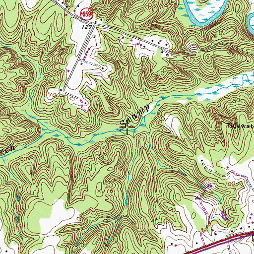 Topographic Map of Church Swamp, VA