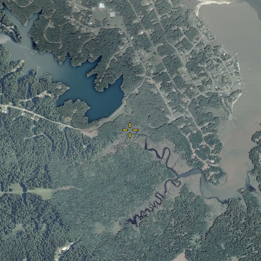 Aerial/Satellite Image of Clifton Branch, VA