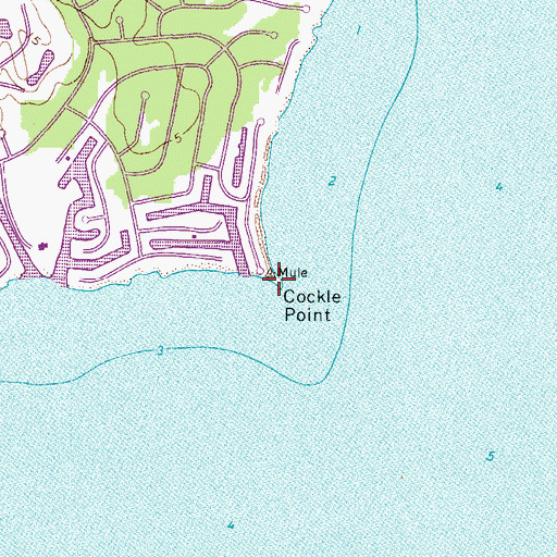Topographic Map of Cockle Point, VA