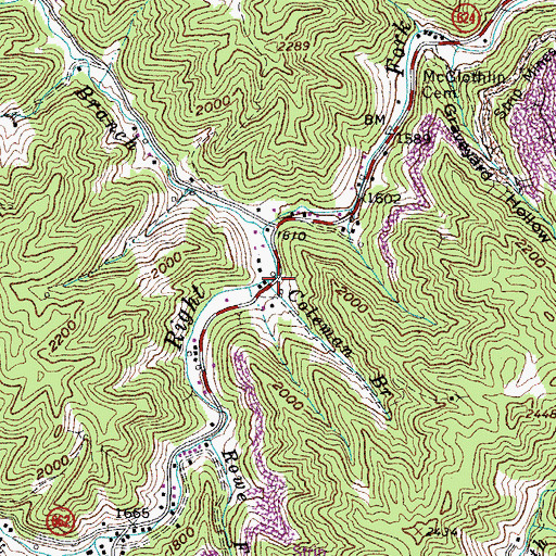 Topographic Map of Coleman Branch, VA