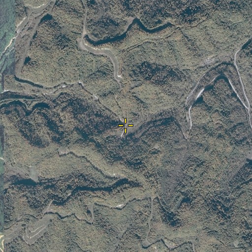 Aerial/Satellite Image of Conaway Gap, VA