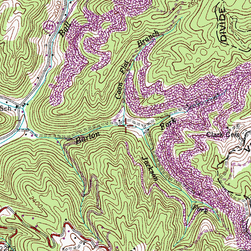 Topographic Map of Coon Flat Branch, VA