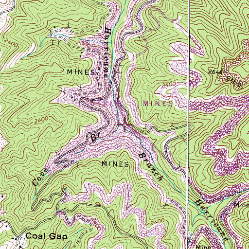 Topographic Map of Cove Branch, VA