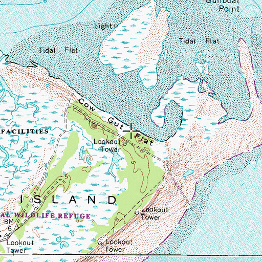 Topographic Map of Cow Gut Flat, VA