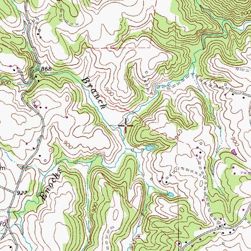 Topographic Map of Cragged Branch, VA