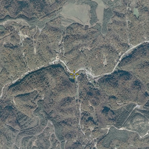 Aerial/Satellite Image of Cranenest Branch, VA